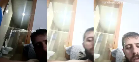 11558228