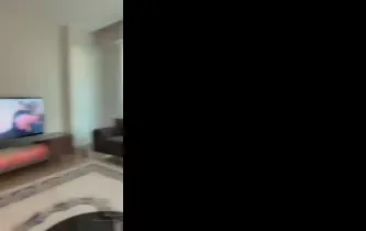 13034287