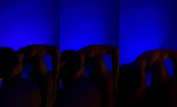 13302286