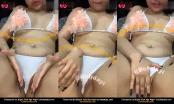 15072617