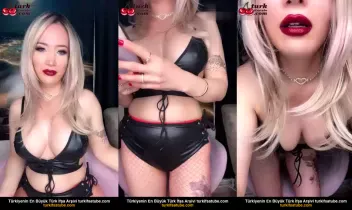 15260274