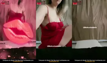 15935529