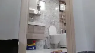 16661446