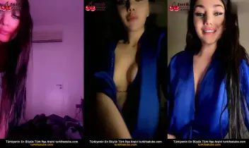 17794558