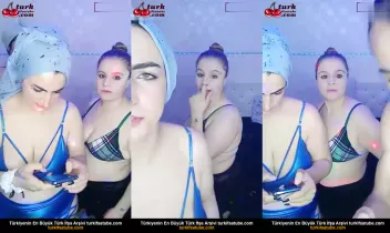 21256559
