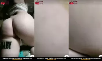 23763927