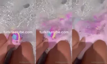 25054504