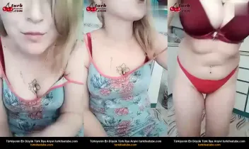 33691260