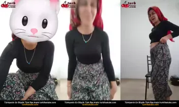 35336287