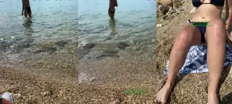 35992764