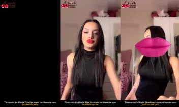 36593769