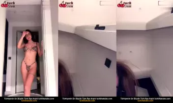 36778535