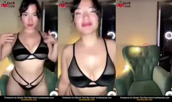 36815772