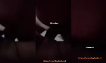 36965240