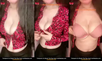 37528538
