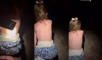 37604006