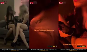 37830590
