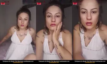 37931181
