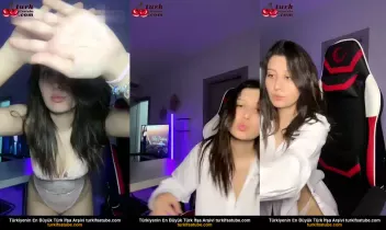 38031279