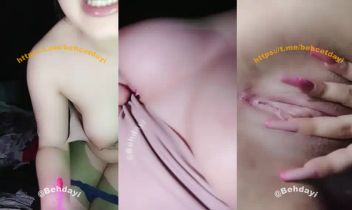 39541853