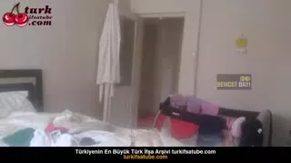 40551720