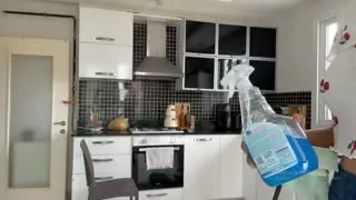 42679155