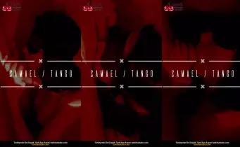 42838682