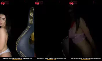 43217150