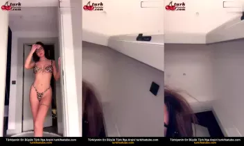 43432284