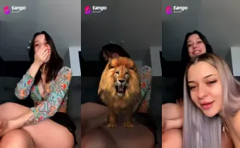 43782063