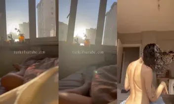 43868323
