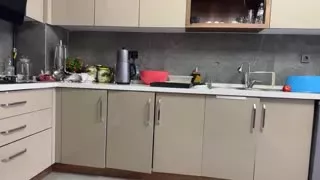 49733829