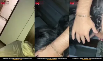 52664618