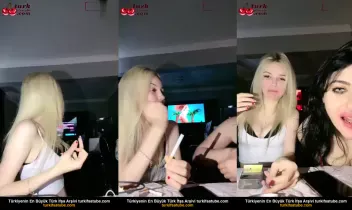 52719941