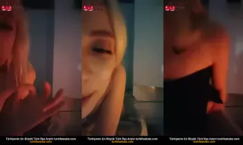 53741447