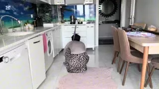 54758362