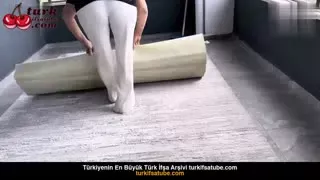 55857294
