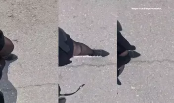 59394060