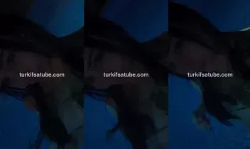 69677336