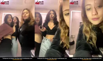71093733