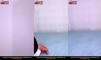 72356612