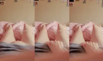 73630531