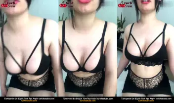 74133774