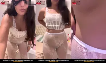 81386764