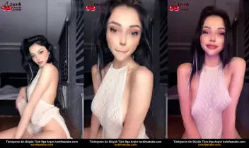 83721904