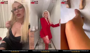84581535