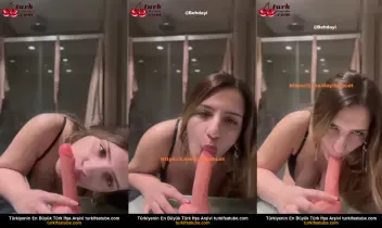 86313767