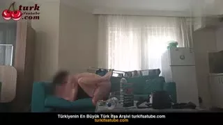87303846