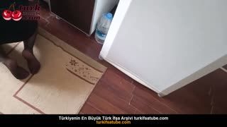 87553800