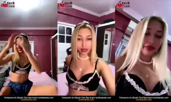 89681334